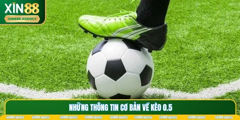 Đôi nét cơ bản về kèo 0.5