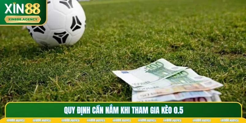 Các quy định về kèo 0.5 mà tân binh cần biết