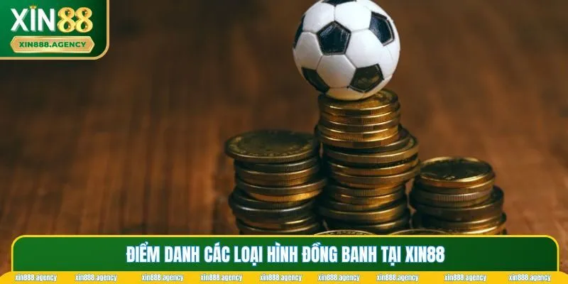 Những loại kèo cược đồng banh mà tân thủ cần nắm