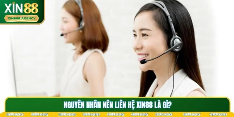 Nguyên nhân nên liên hệ XIN88 là gì?