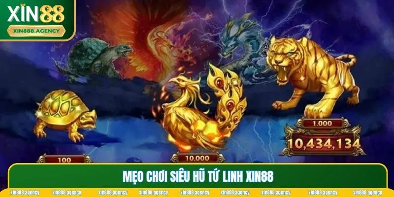 Mẹo hay tăng cơ hội thắng Tứ Linh tại XIN88